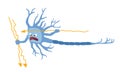 An aggressive neuron with lightning bolts, a brain cell under stress, the concept of a nervous breakdown Royalty Free Stock Photo